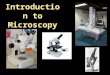 Introduction to Microscopy. Parts of the microscope Eyepiece (9)- the lens you look through, magnifies your specimen – 10x Body tube (1)- supports the