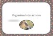 Organism Interactions. How do organisms interact in an ecosystem? A community is… All the biotic factors within an ecosystem. How do the different populations