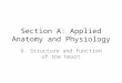 Section A: Applied Anatomy and Physiology 9. Structure and function of the heart
