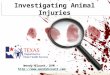 Investigating Animal Injuries Wendy Blount, DVM – ://
