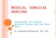 M EDICAL SURGICAL N URSING Assessment of Central Nervous System and Low Back Pain Dr Ibraheem Bashayreh, RN, PhD 4/1/2011 1