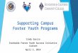 Supporting Campus Foster Youth Programs Cindy Garcia Statewide Foster Youth Success Initiative Liaison April 2, 2014