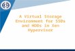 A Virtual Storage Environment for SSDs and HDDs in Xen Hypervisor