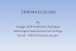 STREAM ECOLOGY By Maggie Bell-McKinnon, biologist Washington Department of Ecology Email: MBEL461@ecy.wa.gov