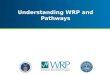 Understanding WRP and Pathways. ● Background ● How the WRP Works ● Pathways ● WRP and Pathways ● Schedule A Appointing Authority ● Best Practices ● WRP