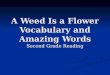 A Weed Is a Flower Vocabulary and Amazing Words Second Grade Reading