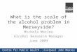 What is the scale of the alcohol problem in Merseyside? Michela Morleo Alcohol Research Manager June 2009 Centre for Public Health, Liverpool John Moores