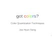 1 got colors? Color Quantization Techniques Joo Hyun Song