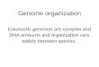 Genome organization Eukaryotic genomes are complex and DNA amounts and organization vary widely between species