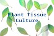 Plant Tissue Culture. Definition: The term plant tissue culture is described in vitro and aseptic cultivation of any plant part on nutrient medium