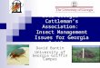 2012 Georgia Cattleman’s Association: Insect Management Issues for Georgia Cattlemen David Buntin University of Georgia Griffin Campus