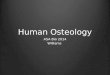 Human Osteology ASA Bio 2014 Williams. Major Divisions of the Body Cranial – skull Infracranial – the rest of the body Axial – trunk & head (parts in