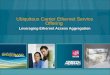 Ubiquitous Carrier Ethernet Service Offering Leveraging Ethernet Access Aggregation