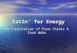 Eatin’ for Energy An Exploration of Food Chains & Food Webs