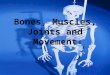 Bones, Muscles, Joints and Movement. Anatomical Position Helps us to understand positions and spacial locations of certain parts