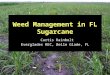 Weed Management in FL Sugarcane Curtis Rainbolt Everglades REC, Belle Glade, FL