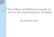 The Effect of Different Levels of pH on the Fermentation of Yeast The Effect of Different Levels of pH on the Fermentation of Yeast By Rachel Koch
