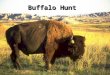 Buffalo Hunt Word Knowledge Grade 5, Unit 5 - Lesson 2 Line 1: night knight plains planes tale tail Line 2: buffalo deer bison elk fish Line 3: stretch