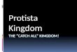 Protista Kingdom. Protista Characteristics  Eukaryotic Organisms that are not members of the Plantae, Animalia, or Fungi kingdoms  Most of them are