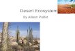 Desert Ecosystem By Allison Poillot. Climate The desert is very dry and warm. A very little amount of rain rains a year. Some deserts can be over 100