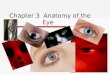 Chapter 3 Anatomy of the Eye. Sclera  The white part of the eyeball is called the sclera (say: sklair- uh). The sclera is made of a tough material