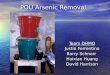 POU Arsenic Removal Team DHMO Justin Ferrentino Barry Schnorr Haixian Huang David Harrison