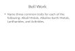 Bell Work Name three common traits for each of the following: Alkali Metals, Alkaline Earth Metals, Lanthanides, and Actinides