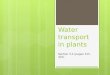 Water transport in plants Section 3.4 (pages 315-322)