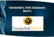 Vanderbilt’s DNA Databank: BioVU. Personalized Medicine Integration of genomic information into clinical decision making Personalized disease treatment