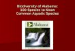 Biodiversity of Alabama: 100 Species to Know Common Aquatic Species