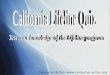 Consumer Action: . About this game Lifeline Quiz was created by Consumer Action as part of the California Lifeline Training Module,