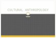 THEORY CULTURAL ANTHROPOLOGY. Anthropology & Theory As anthropologists began to accumulate data on different cultures during the mid-nineteenth century,