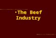 The Beef Industry. The average size beef herd is around 100 head