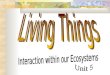 The study of relationships between living things and between living things and their environment