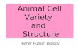 Animal Cell Variety and Structure Higher Human Biology