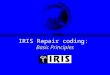 IRIS Repair coding: Basic Principles. IRIS Basic Introduction & Course Basics of IRIS Coding (1) IRIS coding has in most cases two, quite distinct, areas: