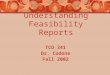 Understanding Feasibility Reports TCO 341 Dr. Codone Fall 2002