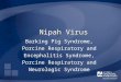 Nipah Virus Barking Pig Syndrome, Porcine Respiratory and Encephalitis Syndrome, Porcine Respiratory and Neurologic Syndrome
