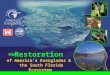 Of America’s Everglades & the South Florida Ecosystem the Restoration