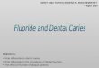 Role of fluoride on dental caries Role of fluoride on the prevalence of dental fluorosis The effect of fluoride on plaque bacteria Objectives: DENT 5302