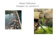 Water Pollution Chapter 11, section 3. Underlying causes of water pollution: 1. industrialization 2. rapid human population growth