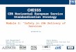 CHESSS CEN Horizontal European Service Standardization Strategy Module 3: “Safety in the Delivery of Services” prepared by Axel Mangelsdorf Berlin University