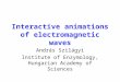 Interactive animations of electromagnetic waves András Szilágyi Institute of Enzymology, Hungarian Academy of Sciences