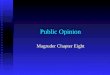 Public Opinion Magruder Chapter Eight. The Formation of Public Opinion
