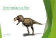 Tyrannosaurus Rex Michal Sobilo Elm. Some facts about the „T-Rex” „Tyrannosaurus” comes from the greek word meaning „tyrant lizard” and the word „rex”
