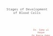 Stages of Development of Blood Cells Dr. Sama ul Haque Dr Rania Gabr