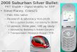 Steve_raney@cities21.org 2008 Suburban Silver Bullet: PRT Shuttle + Digital Mobility for SRP Steve Raney, Cities21 –Palo Alto native –Research & advocacy