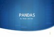 PANDAS By Shawn and Max. How pandas live Did you know that Pandas live in China? Pandas have black and white coats of fur. They are only found in the