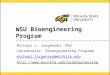 1 WSU Bioengineering Program Michael J. Jorgensen, PhD Coordinator, Bioengineering Program michael.jorgensen@wichita.edu 