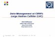 D. Duellmann, CERN Data Management at the LHC1 Data Management at CERN’s Large Hadron Collider (LHC) Dirk Düllmann CERN IT/DB, Switzerland //pool.cern.ch